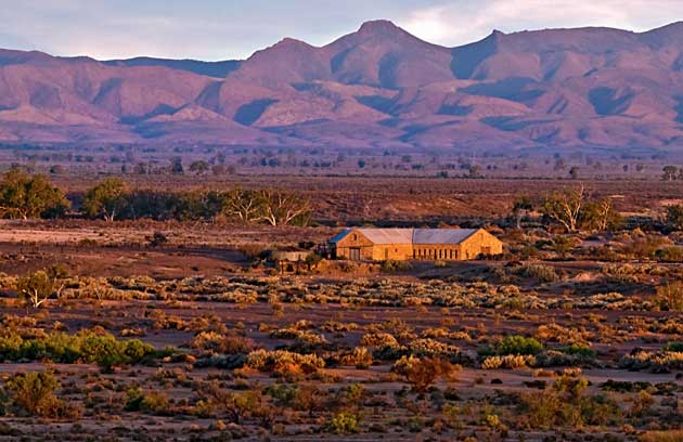 Nilpena-Station-with-the-Flinders-Ranges-behind