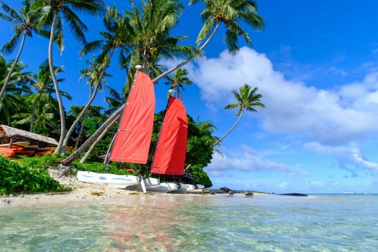 Two hobie cats with red sails perched on the beach just along the water.