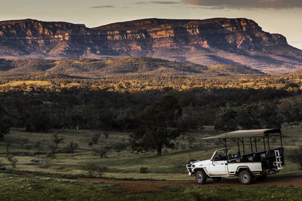 Open-top safari vehicle overlooking the Ikara-Flinders Ranges mountainscape and bushland.