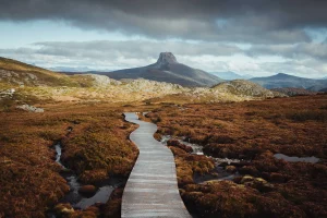 Boardwalk surrounded by scrub leading to the Barn Bluff on the Cradle Mountain Overland Track in Tasmania