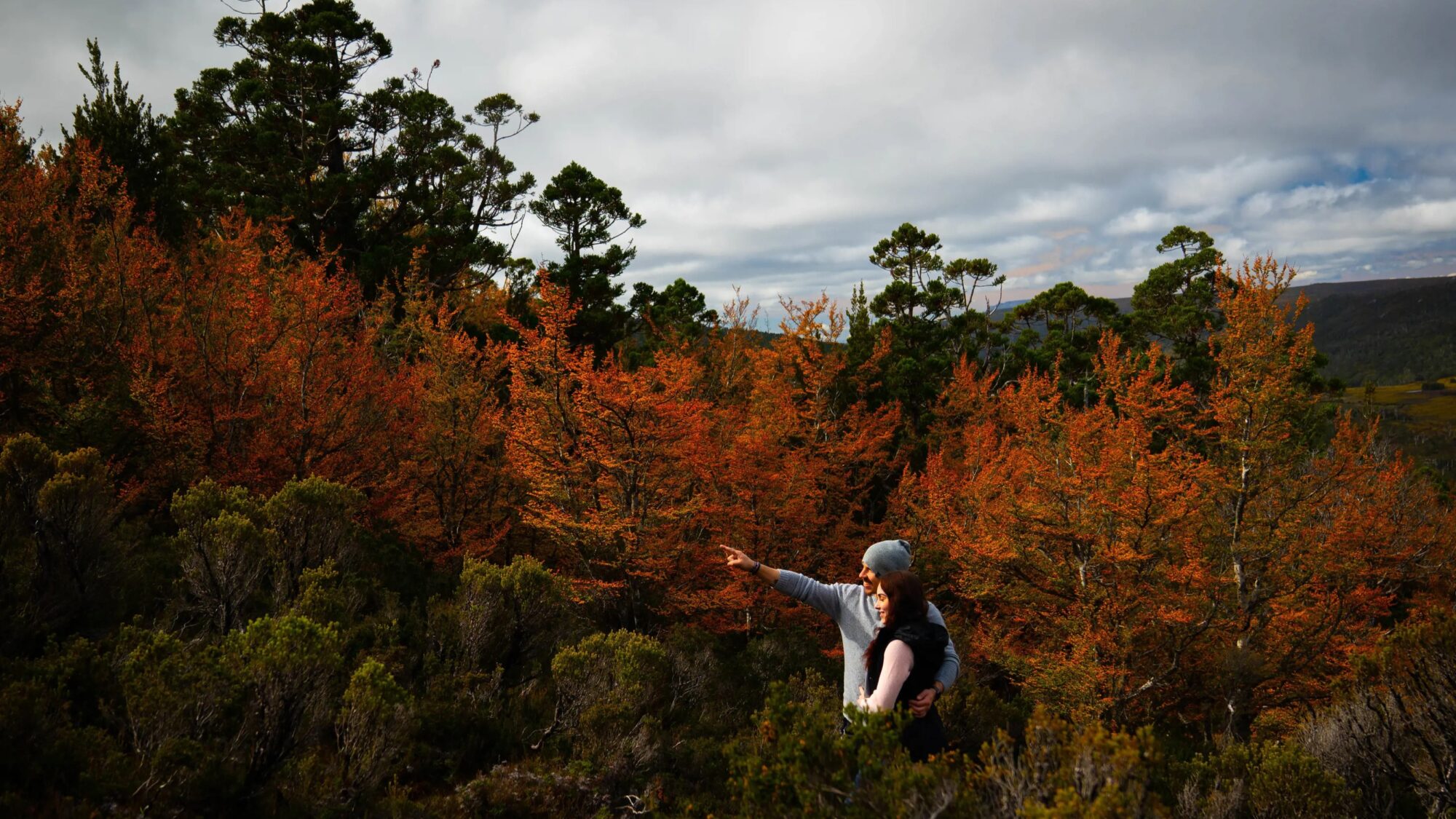 Fall time in the country with trees turning orange