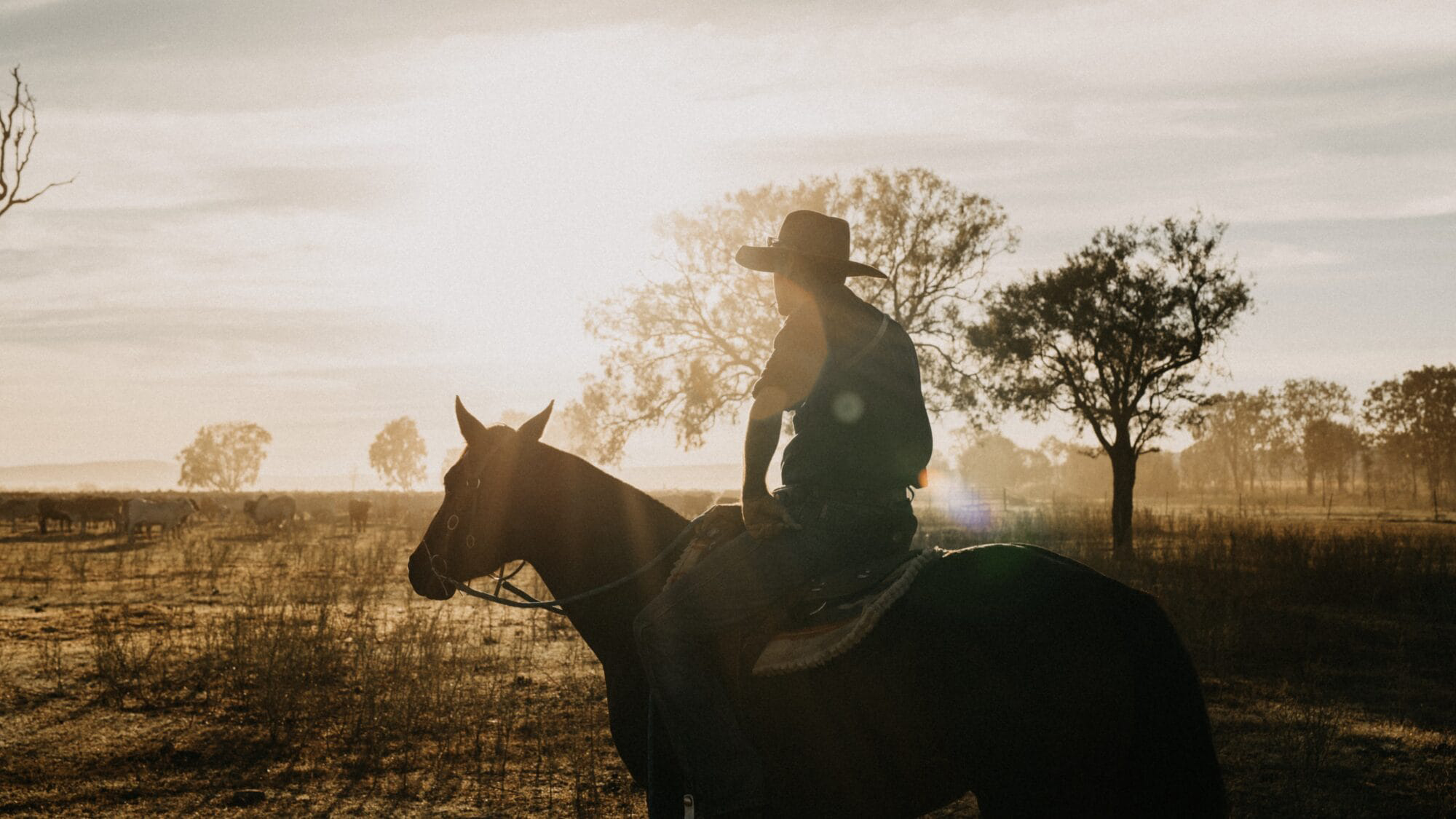Worker on horseback, Bullo River Station