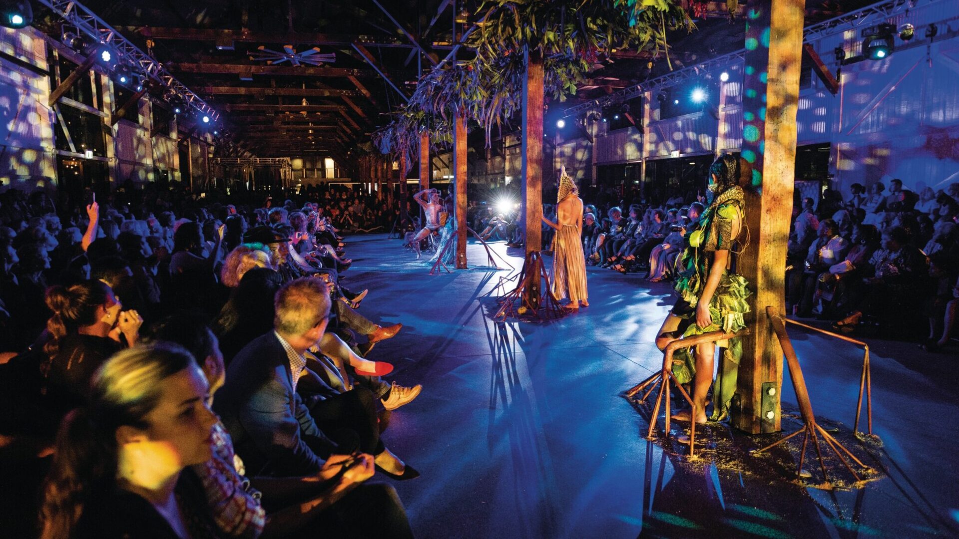 Cairns Indigenous Art Fair showcasing a large audience viewing a performance.