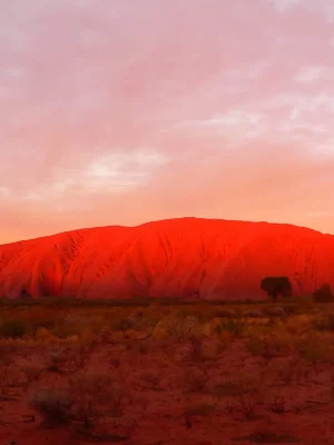 SEIT Uluru Sunset