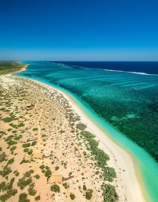 SS-Aerial-Drone-shot-of-campsite-Ningaloo-Reef-Beach-(Mark-Fitz)