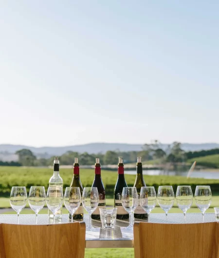 Wine flight overlooking Adelaide hills scenery
