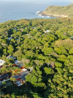Aerial of Island House – Lord Howe Island nestled amongst forest.