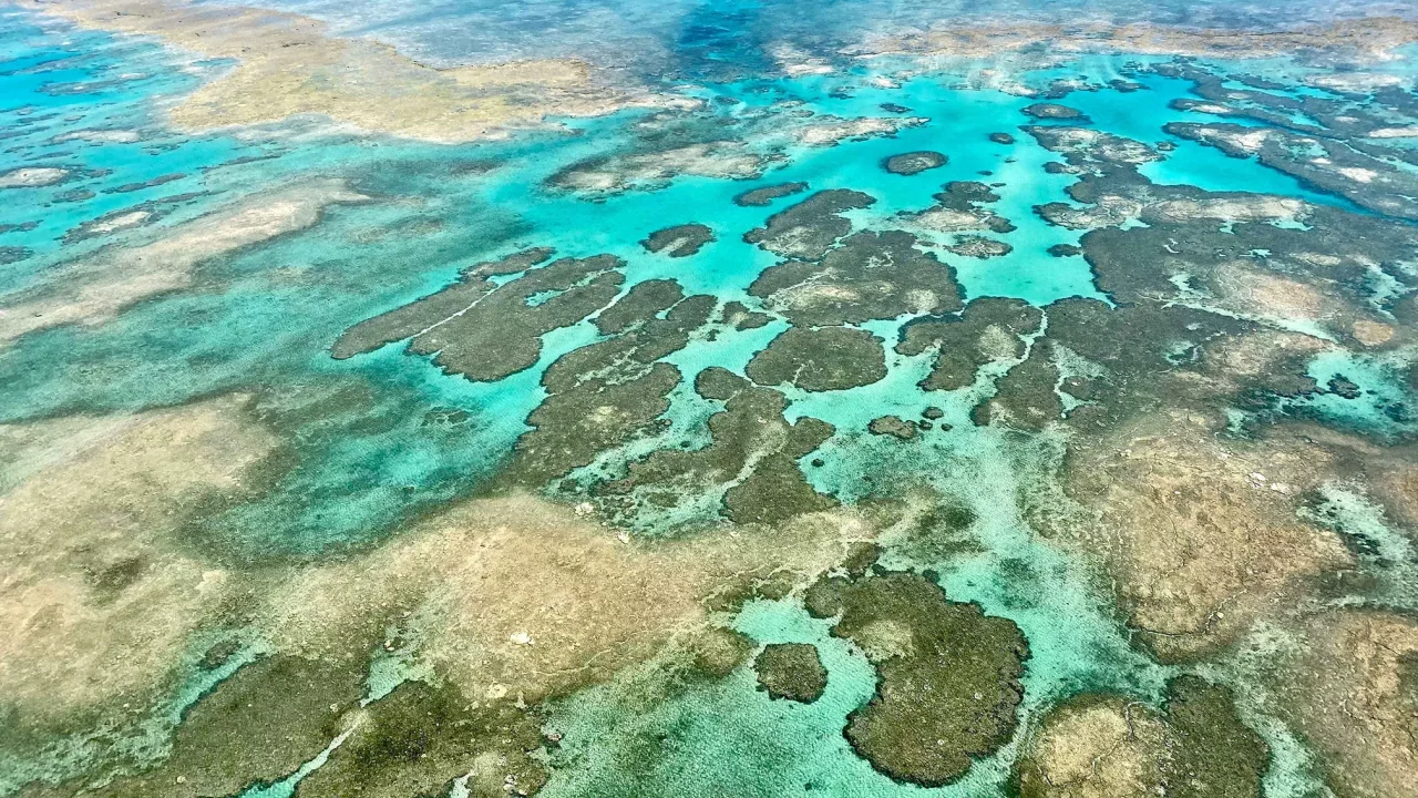 Aerial of coral reefs and blue waters in Australia's Torres Strait.