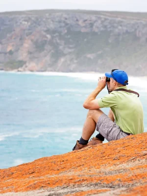 Traveller overlooking ocean in a vast landscape.